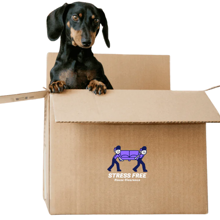 Free Scrap Metal Collection Witham Dog