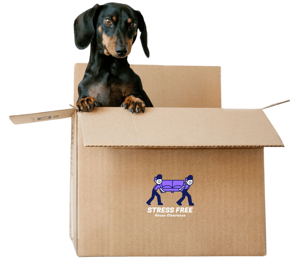 House Clearance Southend